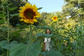 Anna Hess ’00 in a patch of sunflowers